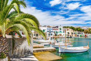 Marina mit Palme in Portocolom auf Mallorca